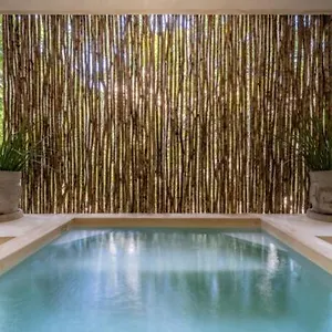 Casa Cenote Private Pool Gated , Tulum Mexique